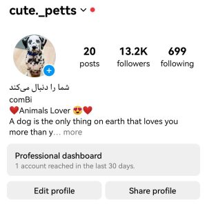 پیج اینستاگرام 13کا