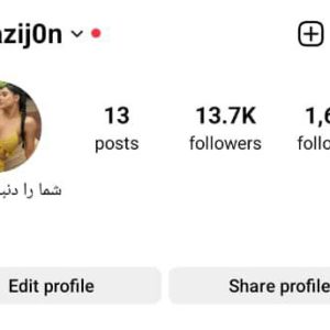 پیج اینستاگرام 13کا