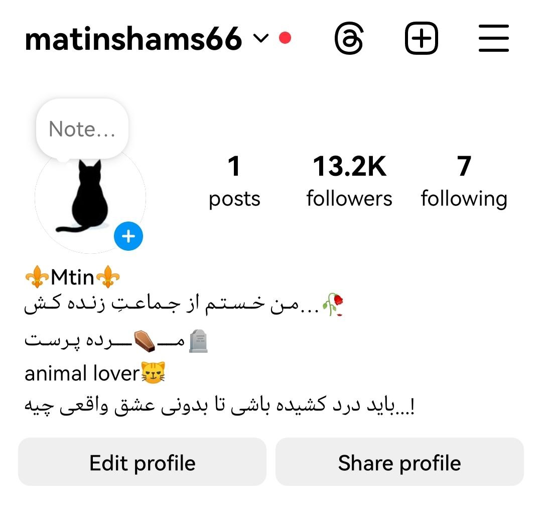 پیج اینستاگرام 13کا