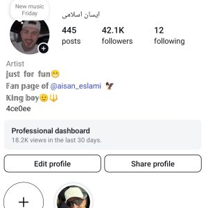 پیج اینستاگرام 42کا - ay3an_eslami