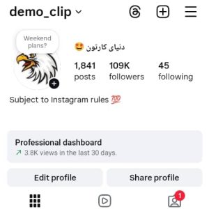 پیج اینستاگرام 109کا - demo_clip