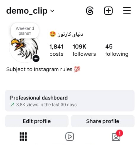 پیج اینستاگرام 109کا - demo_clip